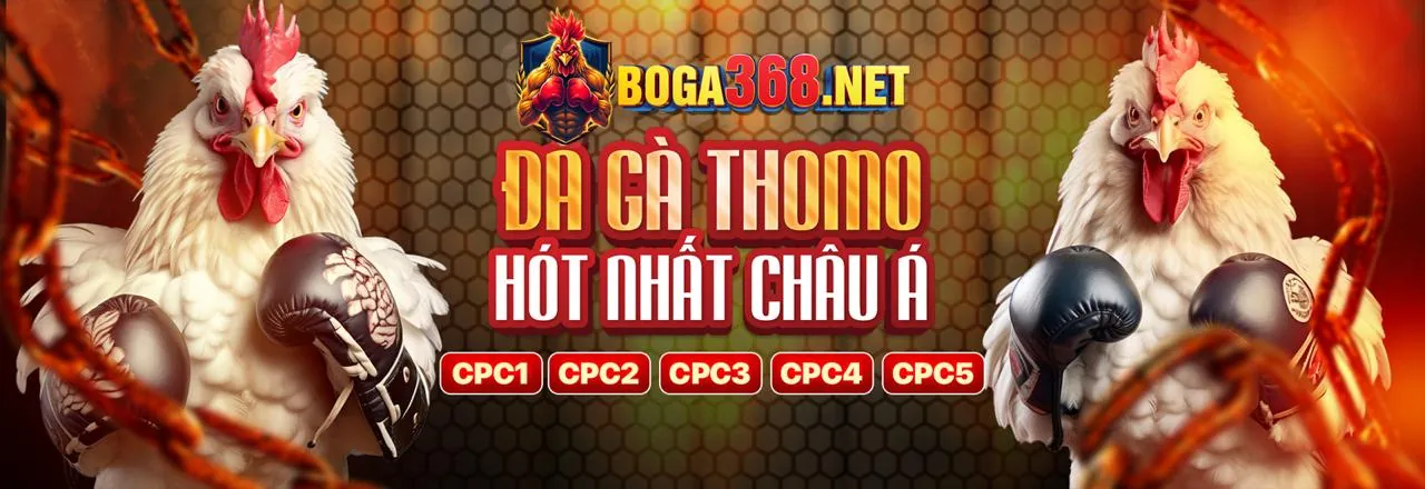 Đá Gà Trực Tuyến King88